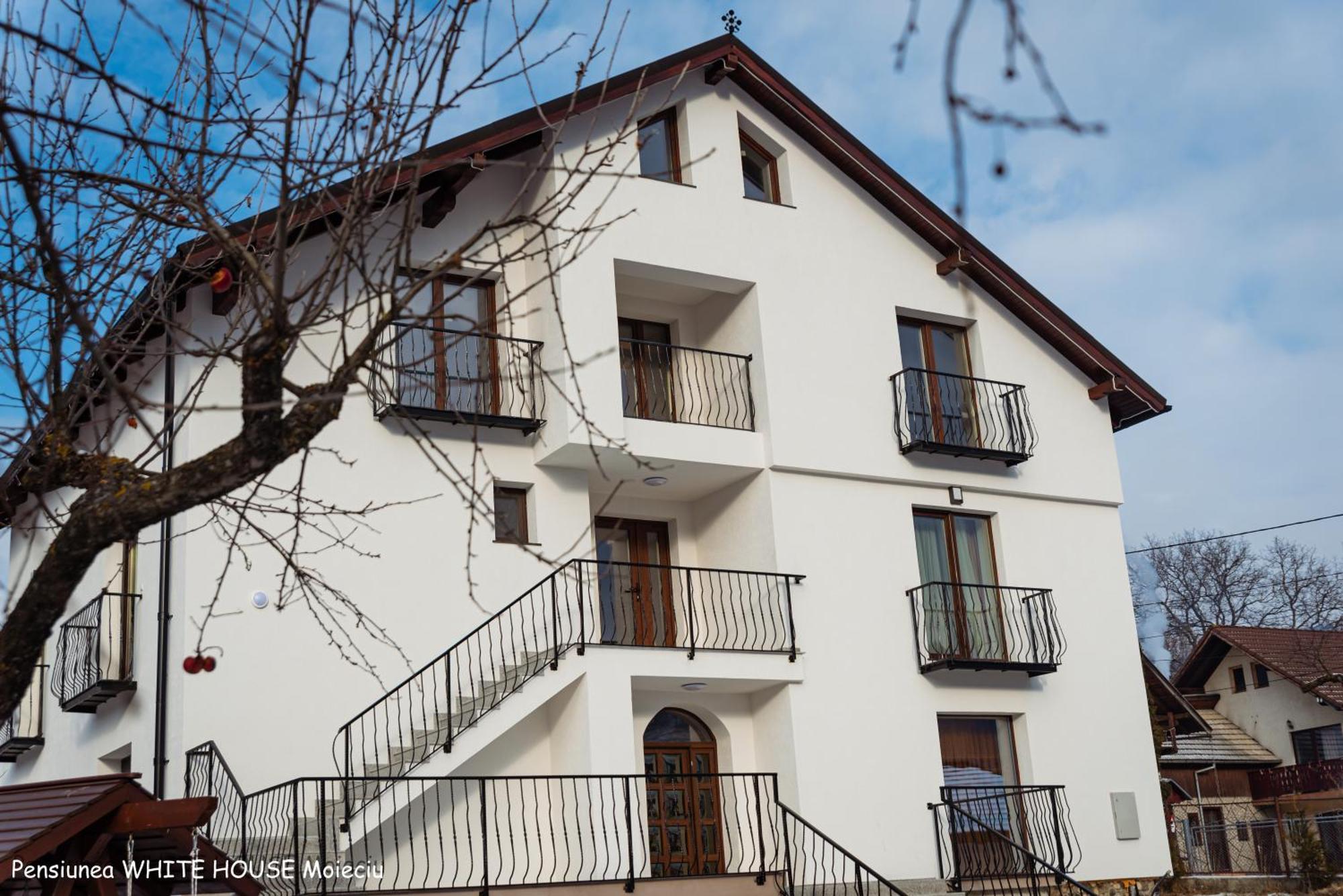 White House Moieciu Hotel Alsómoécs Kültér fotó